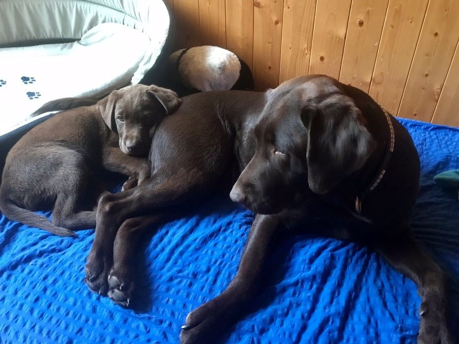 01831d8d-f37f-4f97-9fff-363b44bd5757