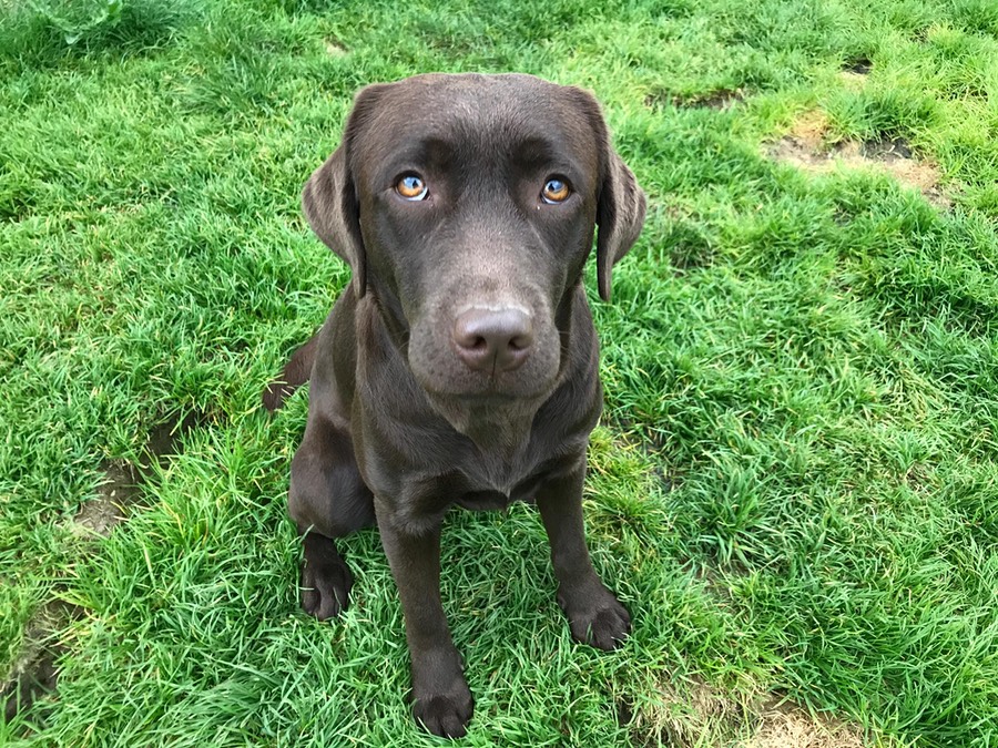 06eec5a9-b7dc-456a-a63b-76db5a6218a1