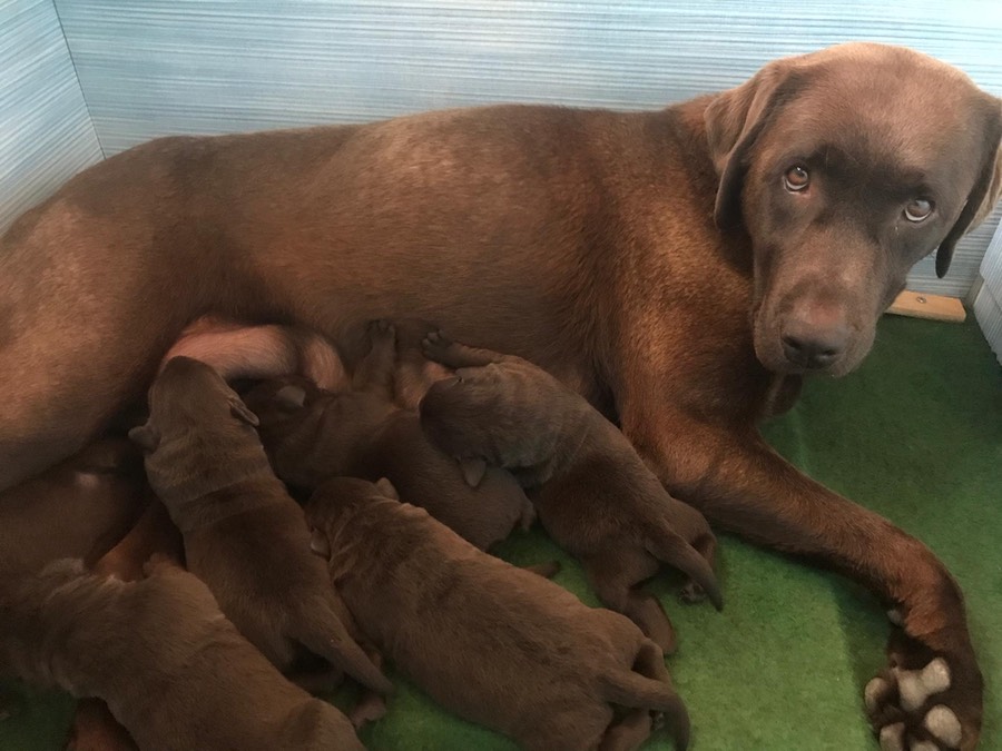 22dd7983-1b5b-436b-9ebd-adcb589cee00