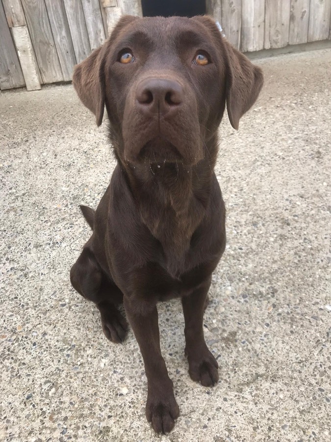 2dfd5b3b-264f-4c88-8f51-15a23dcb7466