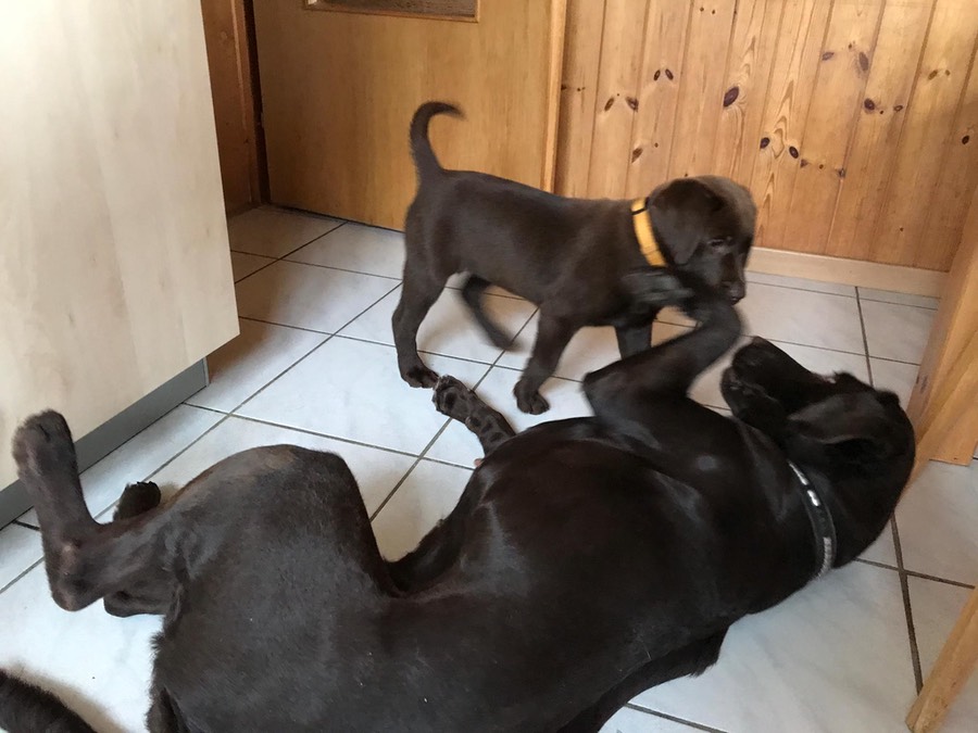 3ed37f11-57cf-4d9a-8bcb-05268fff2e54