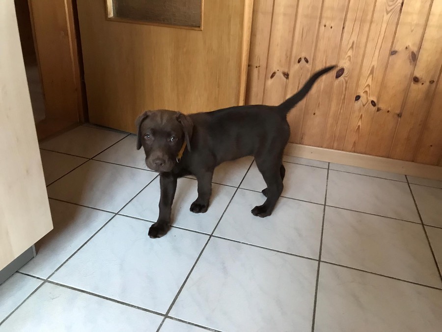 3fdb97b6-0f58-4e47-a057-b1d0fbd8b090