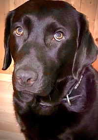 41188b83-7904-4ef0-a8c7-c393bf819770