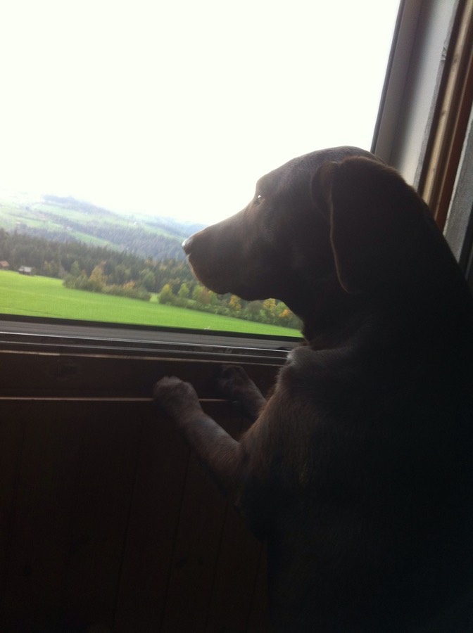 469d4478-3e58-4b7c-9348-2ac6f9ace67e