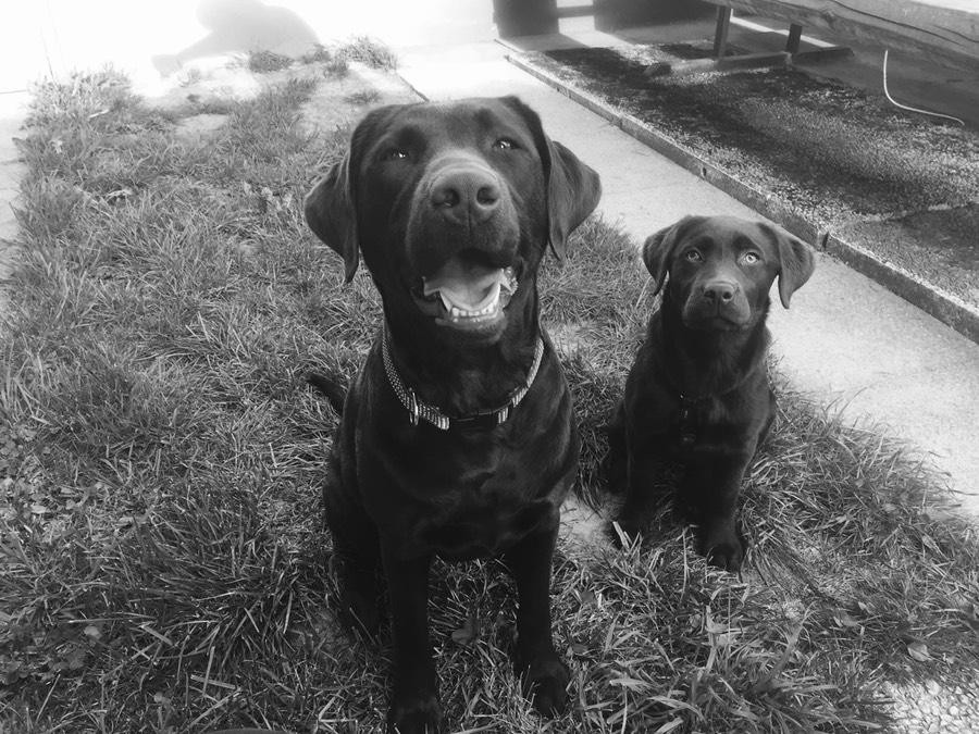 49090ecb-0174-4f53-93e3-5fa707971707