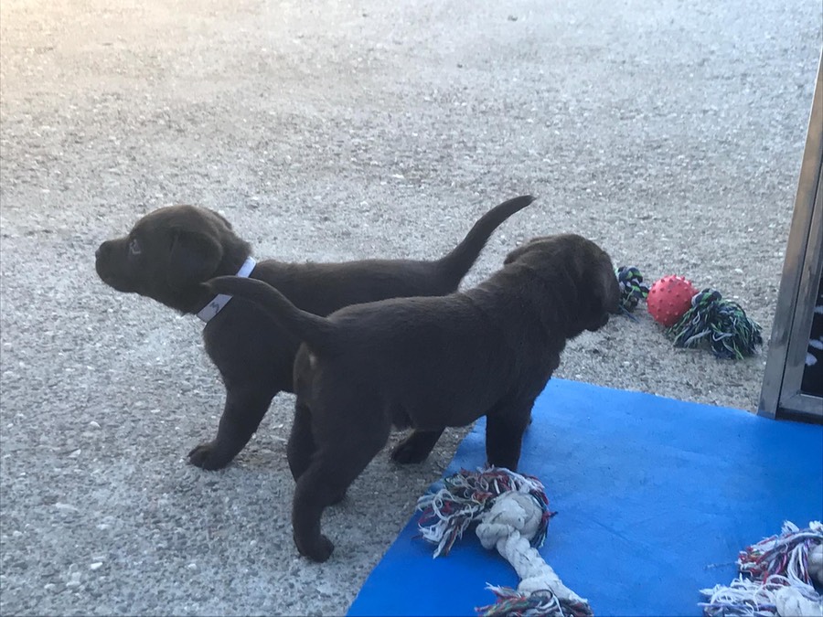 5881dd4b-91c5-4310-aefd-f5441250ca24