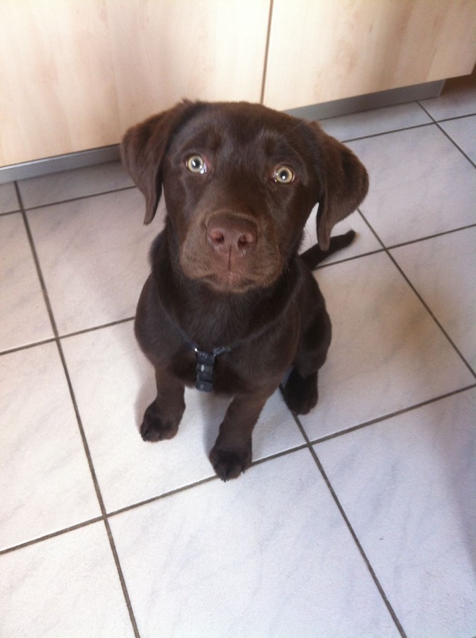 5a472d38-a7a8-4798-9252-420f8b615136