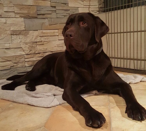 705f856a-b682-4d6b-a984-2087bd3e2372 (1)