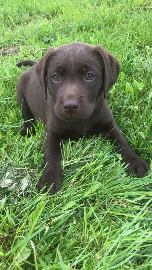 71b5907a-19cb-4e3b-9964-055c46e5c48b