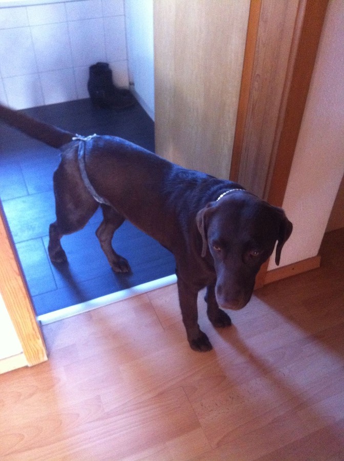 7cac6afd-032b-4be6-bdda-a6a9faf98419