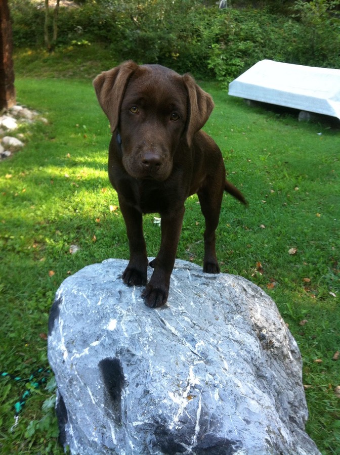 7f843866-5f62-41e6-90dc-5064426ff120