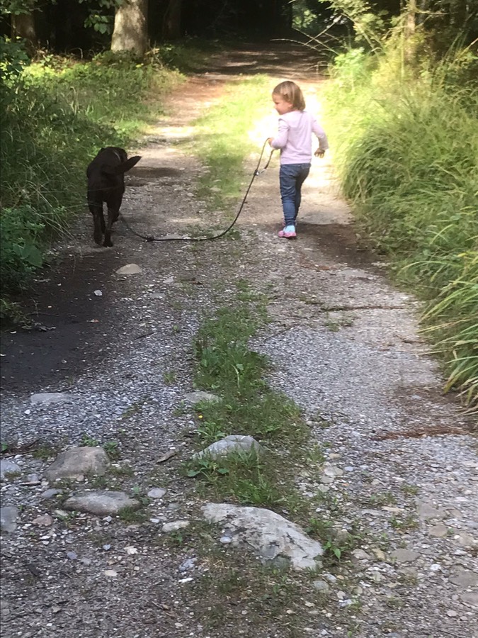 8e471c94-8524-4379-a834-23fe6d72781d