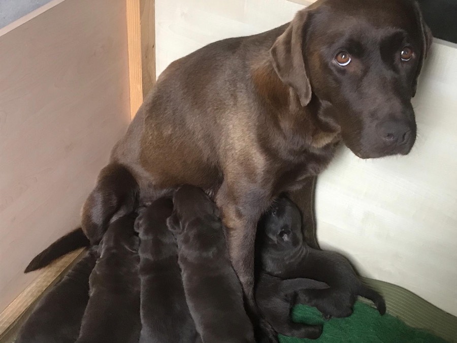 90b2591e-8520-4072-a749-0eb3ed2c182b