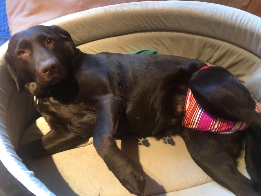 9614bf7a-c326-42d1-8de1-408717caf6dd