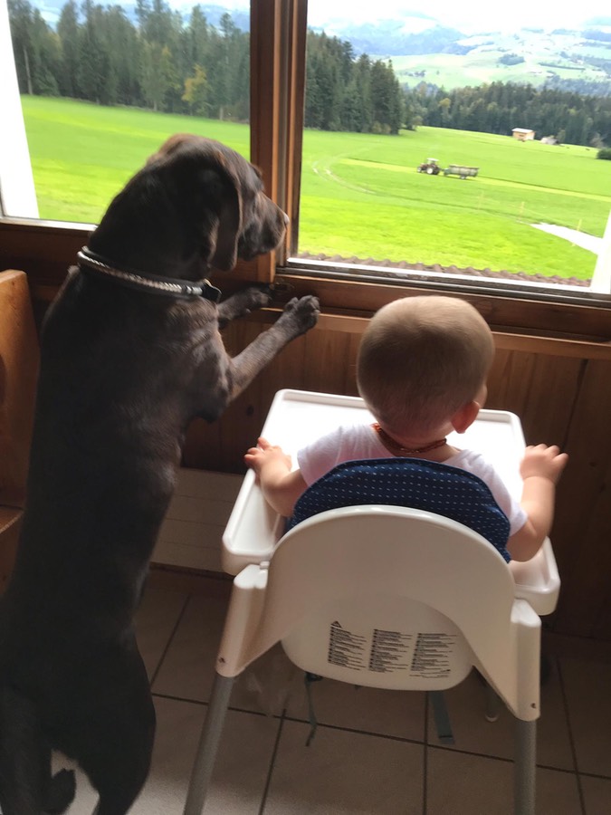 9a816ea8-7c1d-43f7-aa26-54bdd94a9b7c