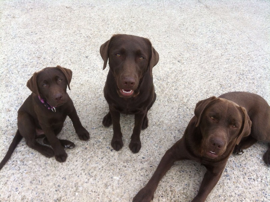 a45e1b5d-ce09-4be4-93d2-26db4818da04