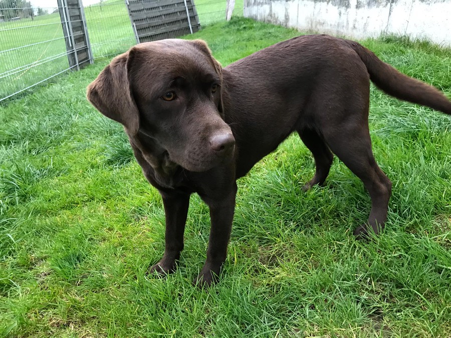 bb774392-a591-4d07-b85d-ef90ba2959e3