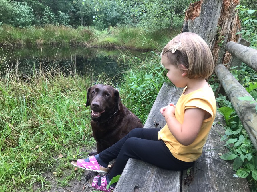 de72a5af-28b2-4cb2-805f-ce145afbfbc3