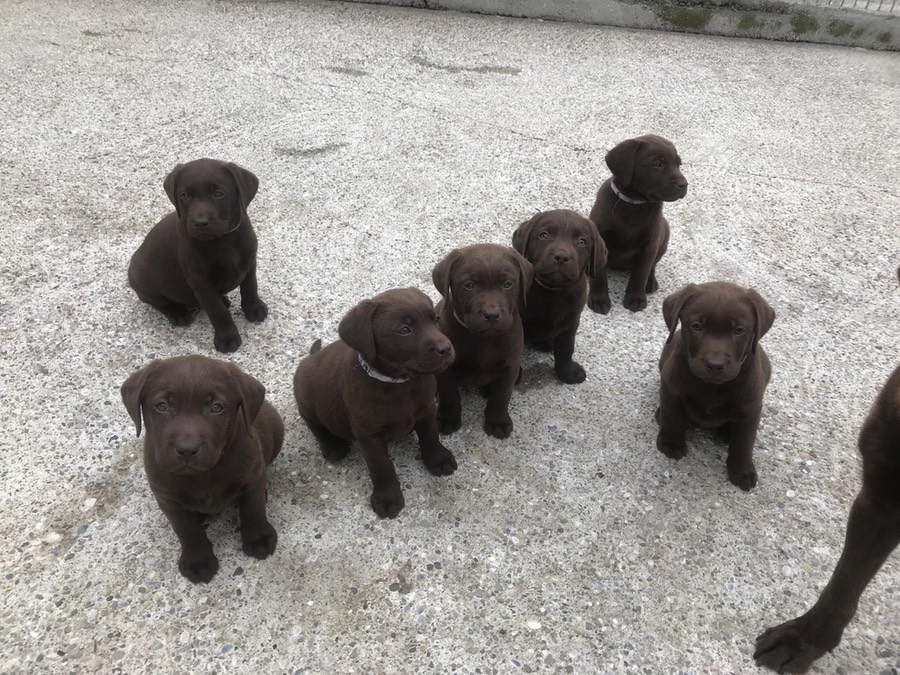 dee658ea-1f47-4c3f-b4d6-d51a659bb4ad