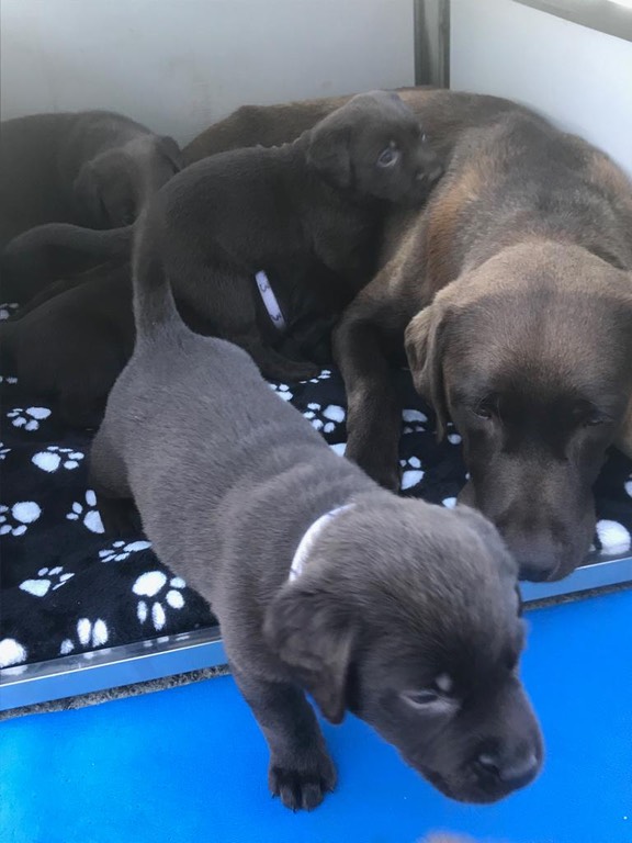 e0712779-7821-450f-ae08-ffdac8fe16cd