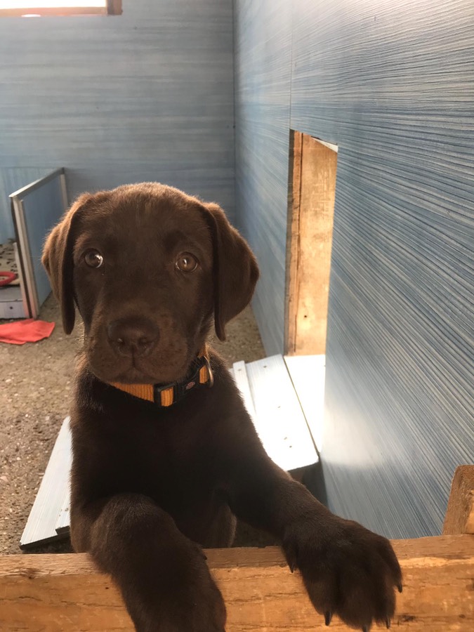 e4602142-9ce3-4c68-b4b3-3f346f4e9d6d