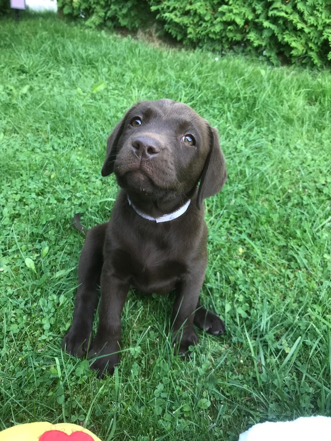 efbbf84c-3a9c-4933-a69e-d5cbca471b4d