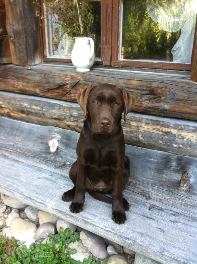 fa3a4caf-9406-45a5-a03e-288ab6b3b8ff